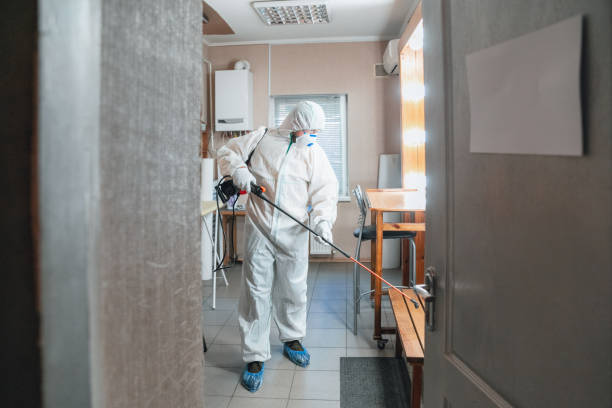 Best Attic Mold Removal  in Greendale, IN