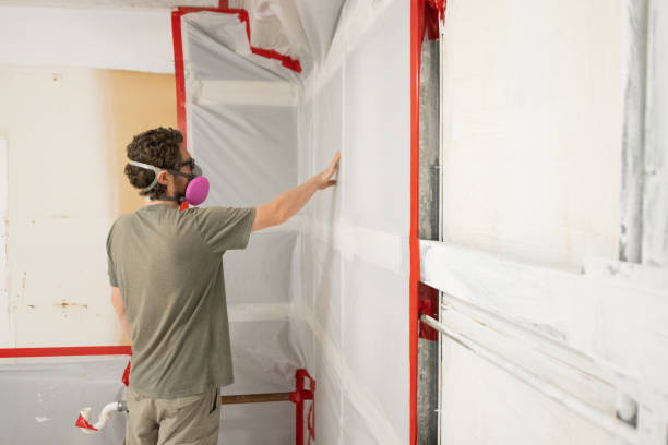 Best HVAC Mold Inspection and Cleaning  in Greendale, IN