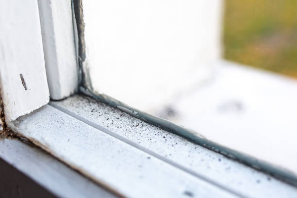 Best Residential Mold Inspection & Testing  in Greendale, IN